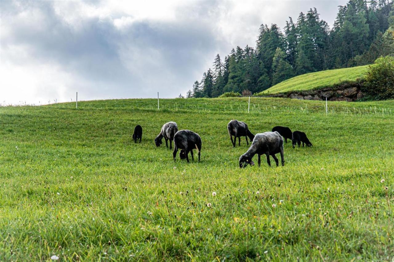 Zoeschgenhof Matrei in Osttirol Exterior foto